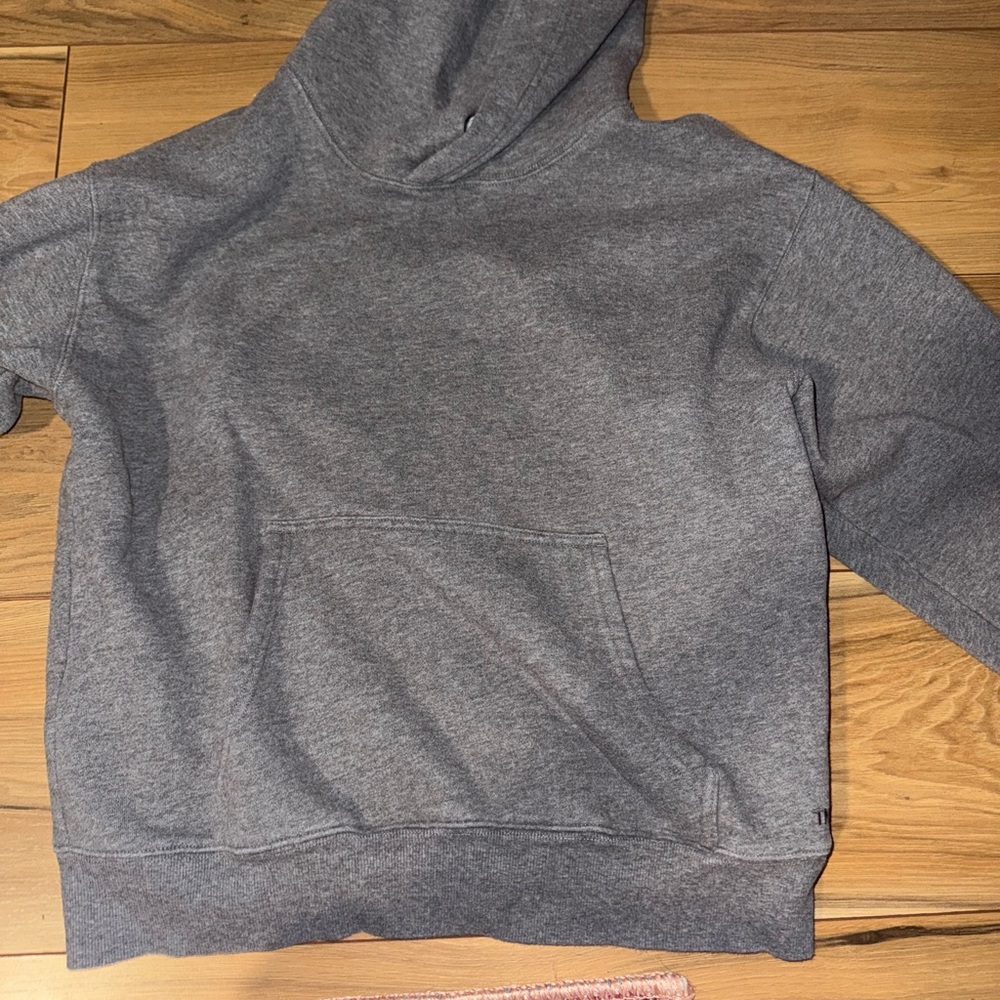 Aritzia Gray Women's Hoodie